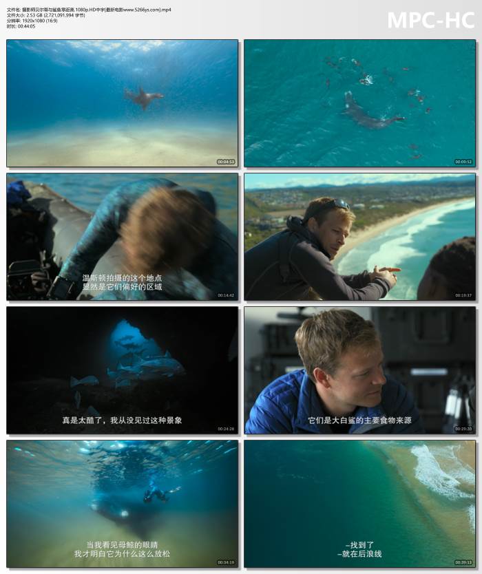 心理压迫首映之夜